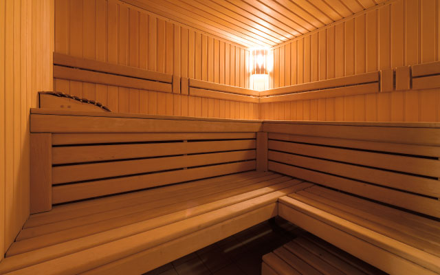where to buy a sauna
