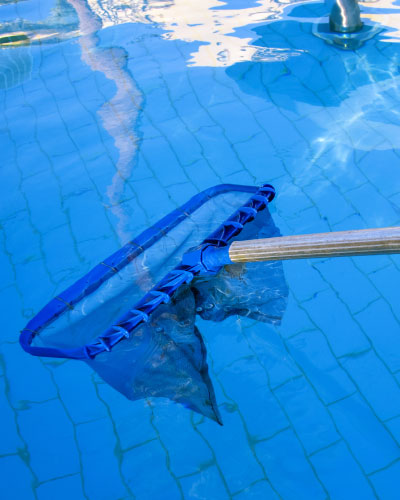 Professional Pool Maintenance